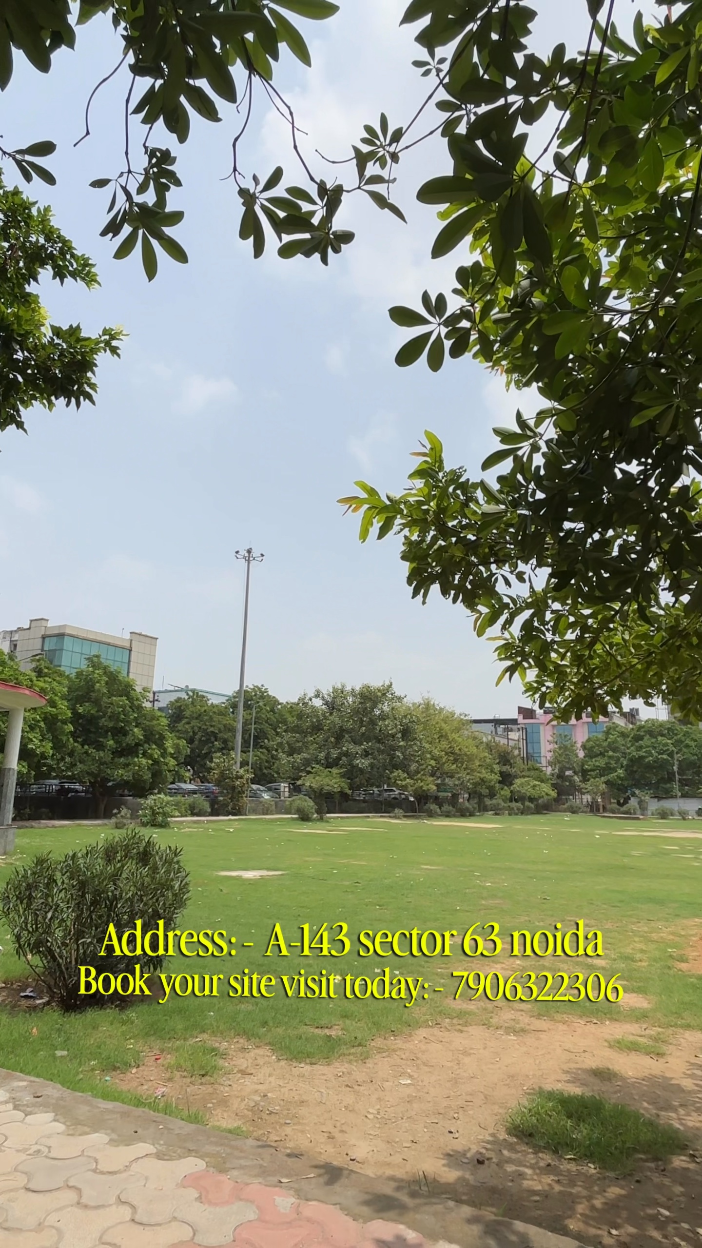Direct Lush Green Public Park Frontage